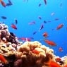 Eilat