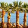 Dahab
