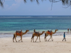 klimaat-diani-beach-weer.jpg