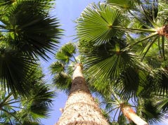 klimaat-gran-canaria-weer.jpg