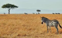 klimaat-kenia-weer.jpg