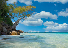 klimaat-thailand-weer.jpg