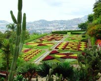 Madeira