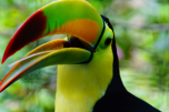 vakantie Belize Quetzal Travel