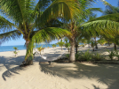 vakantie Belize Unico Travel