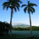vakantie Cyprus Alltours