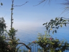 vakantie Madeira Beachcheck.com
