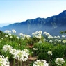 vakantie Madeira Corendon
