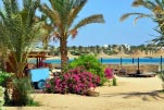 vakantie Marsa Alam Sunweb